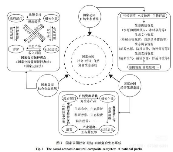 关于定量研究说法是什么-图3