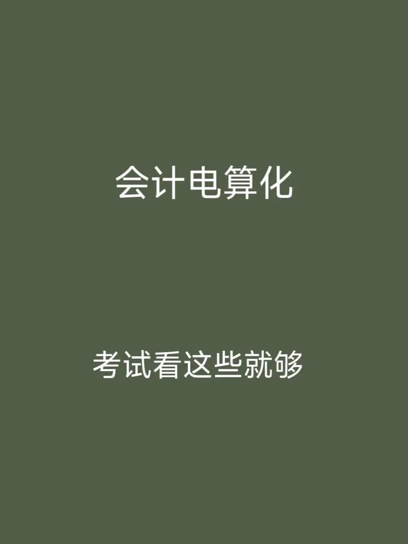 初级会计电算化参考文献有哪些？-图2