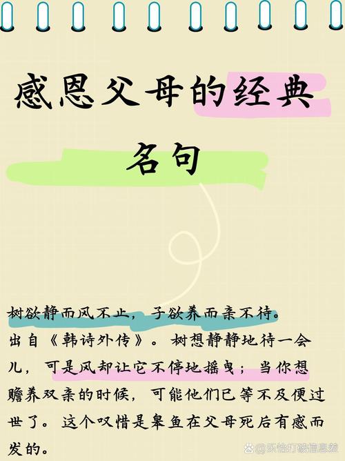 感恩父母 珍惜教育机会-图2