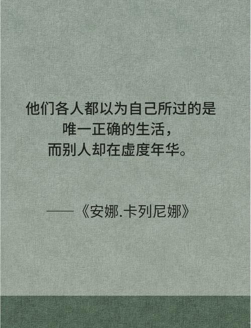 安娜卡列尼娜的参考文献-图2