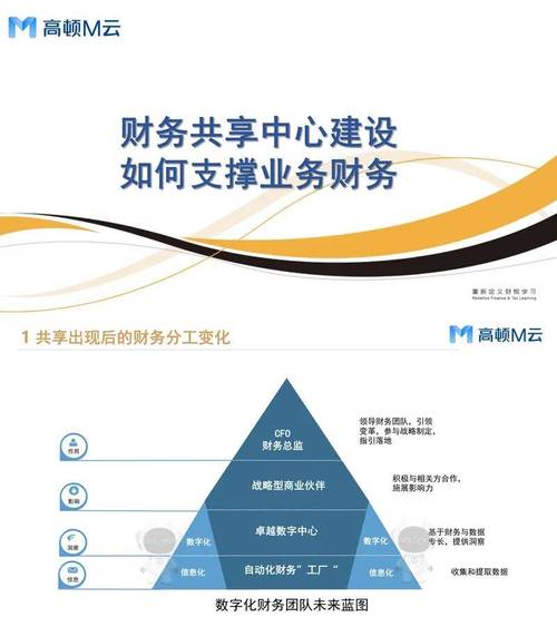 财务共享因何兴起？其研究价值何在？-图3