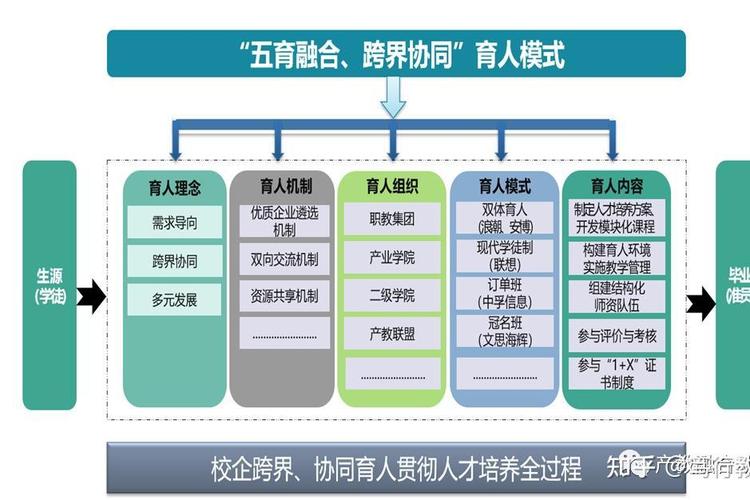 教育学中合作教育的定义-图3