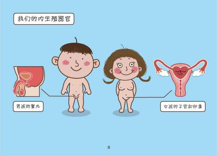 从性教育到幼儿健康教育-图1