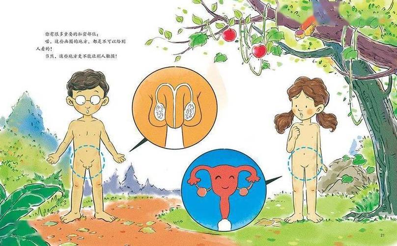 从性教育到幼儿健康教育-图3