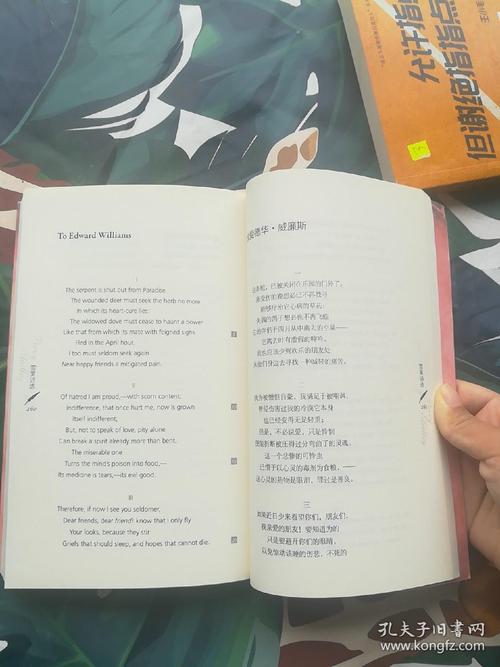 关联理论如何解构雪莱诗歌的深层意蕴？-图2