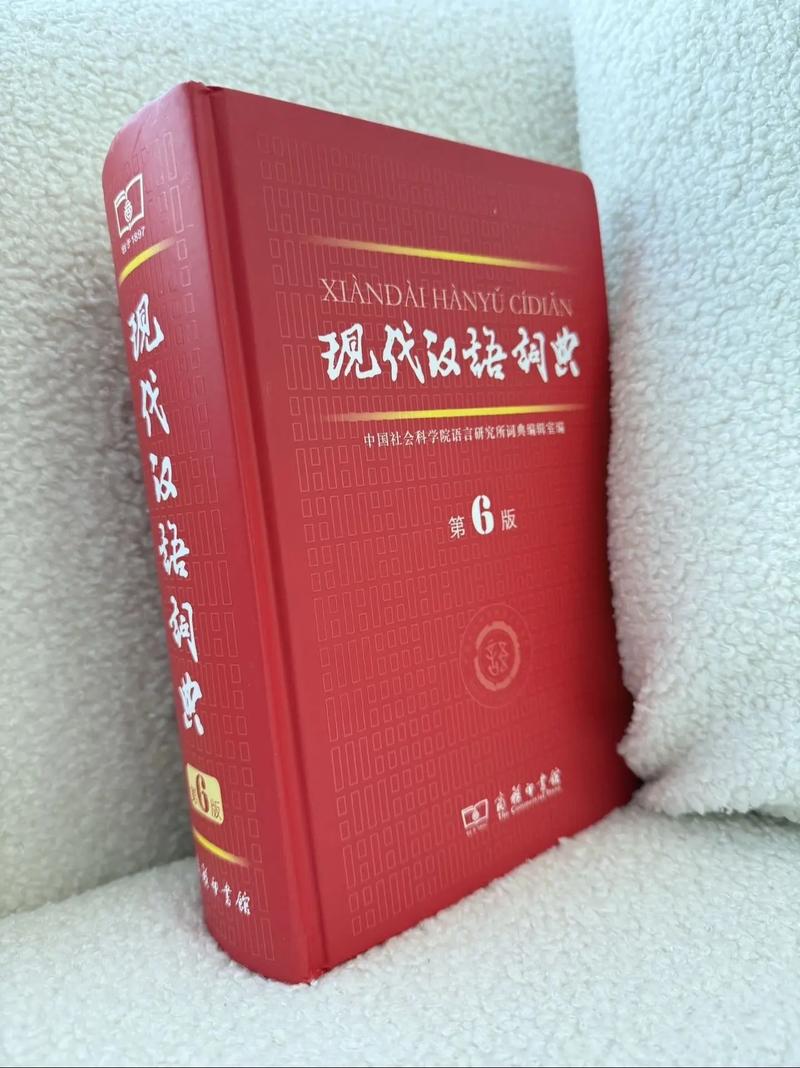 参考文献 现代汉语词典-图3