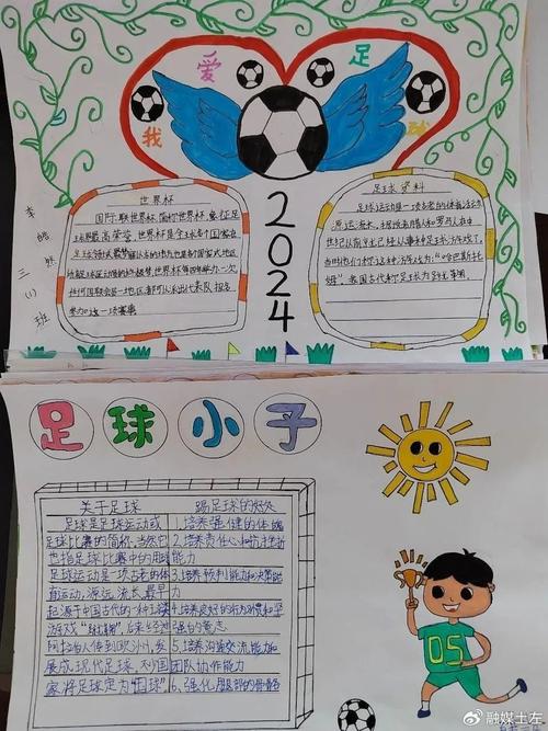 小学校园足球的参考文献-图1