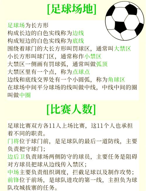 小学校园足球的参考文献-图3