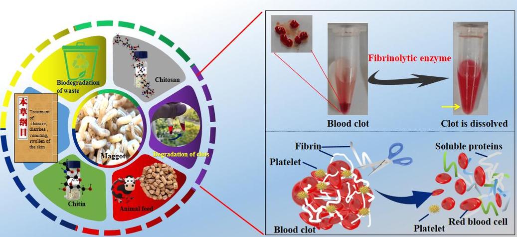 天然产物研究与开发，如何高效挖掘活性成分？-图3