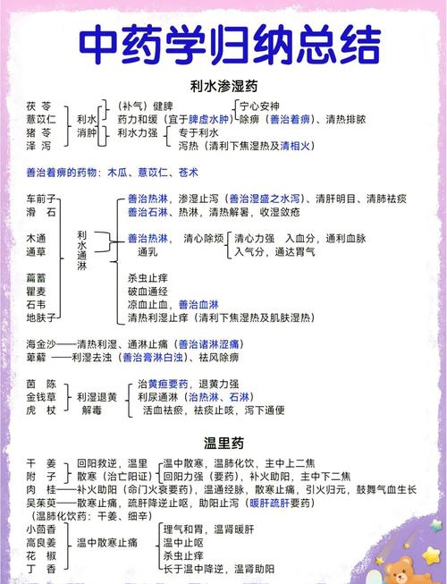 现代中药研究与实践的核心价值是什么？-图2