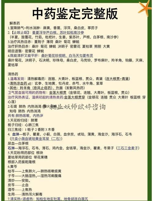 现代中药研究与实践的核心价值是什么？-图1