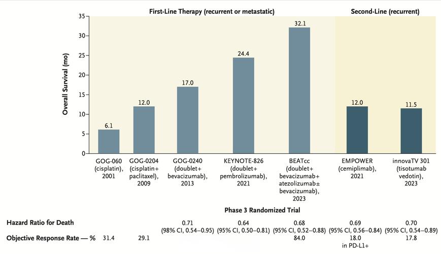 宫颈癌论文参考文献有哪些？-图2