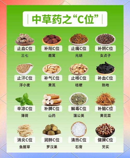 最新中草药百科参考文献汇编，传统智慧与现代科研融合的权威指南-图2