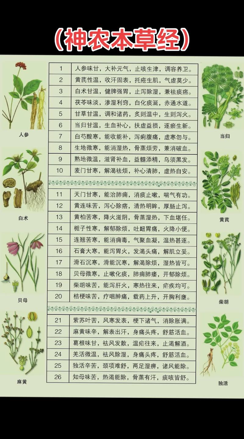 最新中草药百科参考文献汇编,传统智慧与现代科研融合的权威指南-图1 最新中草药百科参考文献汇编,传统智慧与现代科研融合的权威指南-图1