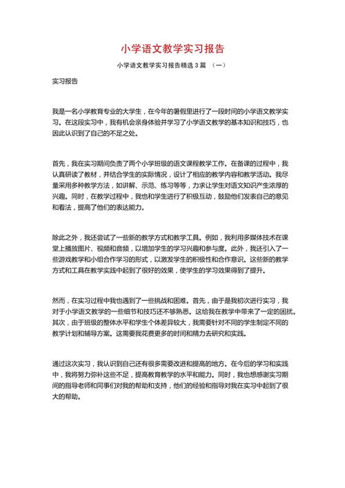 汉语国际教育实习报告,教学实践与文化传播的双向探索与成长反思-图3 汉语国际教育实习报告,教学实践与文化传播的双向探索与成长反思-图3