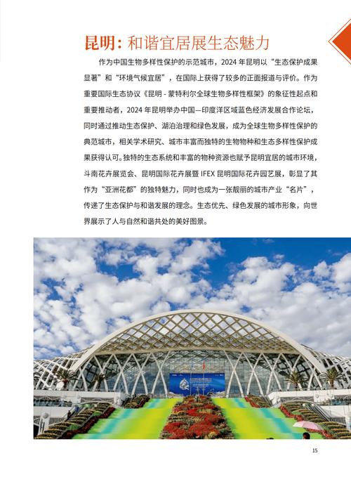 中国国际影响力的多维构建，基于政治、经济、文化领域的参考文献分析-图3