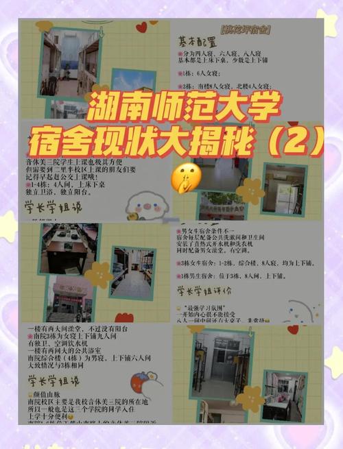 大学生宿舍文化建设的理论基础与实践路径研究——基于文献综述的分析-图2