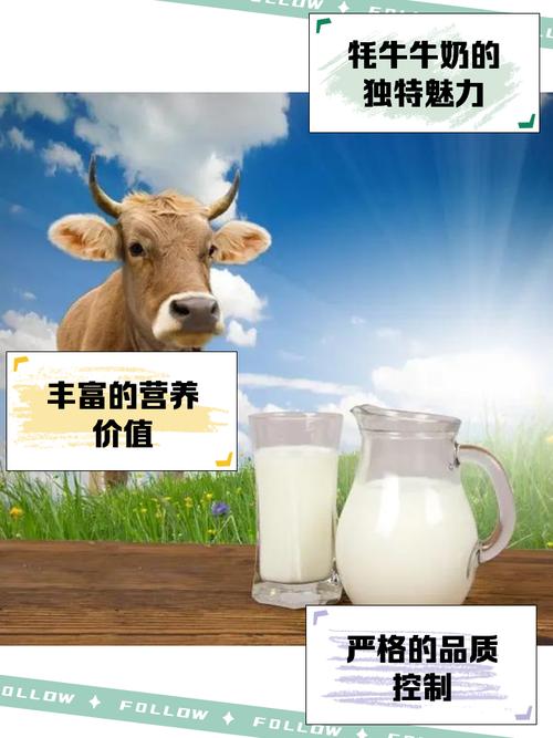 近十年奶牛挤奶技术研究进展，从传统工艺到智能化管理的文献综述-图3