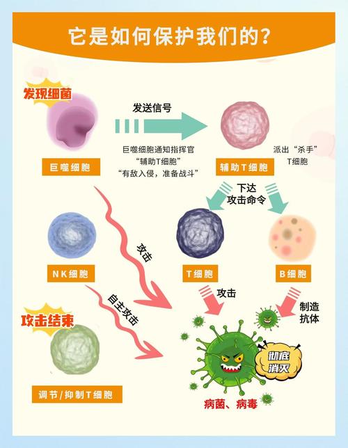 细胞与分子免疫研究前沿，从机制探索到临床转化的热点聚焦与未来展望-图1