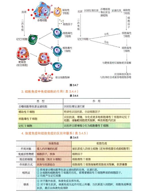 细胞与分子免疫研究前沿，从机制探索到临床转化的热点聚焦与未来展望-图3