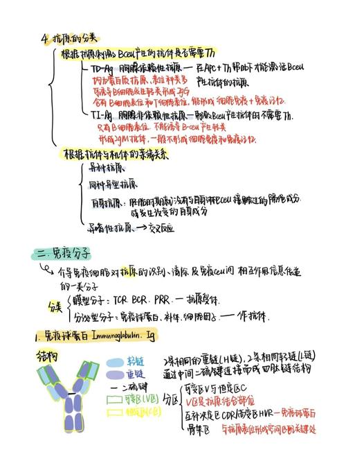 细胞与分子免疫研究前沿，从机制探索到临床转化的热点聚焦与未来展望-图2