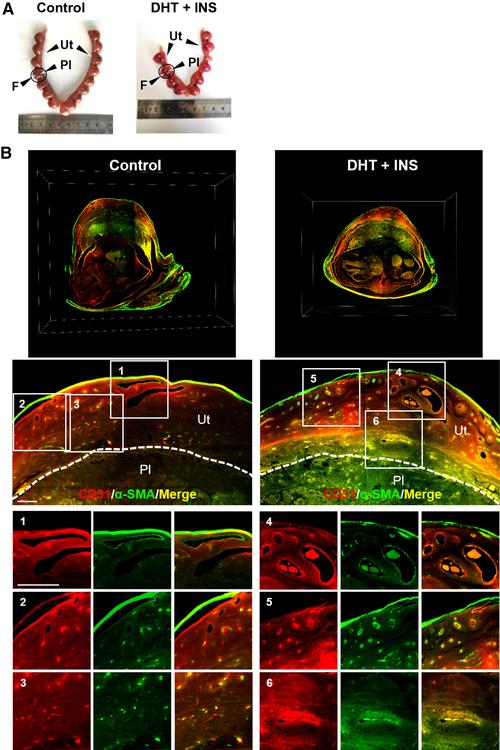 三维设计参考文献精选，涵盖技术原理、应用实践与前沿研究的多维资源指南-图2