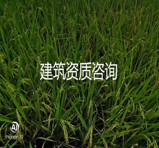 企业绿色管理研究，理论、实践与可持续发展路径探析-图3