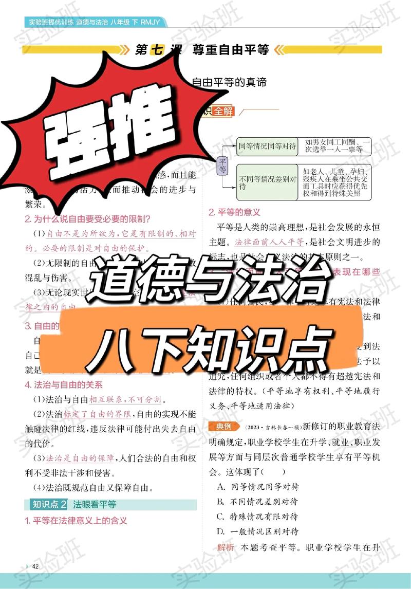 法律的平等价值,理论内涵、实践挑战与参考文献研究-图1 法律的平等价值,理论内涵、实践挑战与参考文献研究-图1