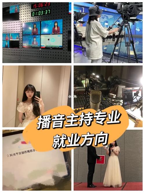 国内播音主持研究现状如何?-图2 国内播音主持研究现状如何?-图2