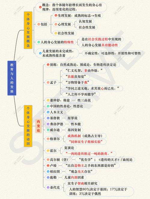 教育如何塑造人的发展？-图1