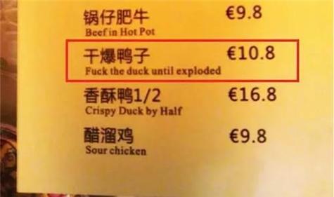 菜名翻译论文的研究目的何在？-图2