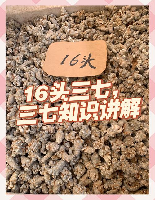 文山三七产业研究意义何在？-图3