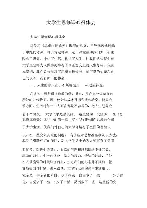 大学生思想教育心得体会的核心价值是什么？-图3