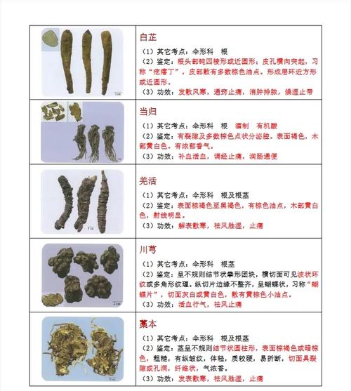 中药鉴定近十年研究有何新进展？-图3