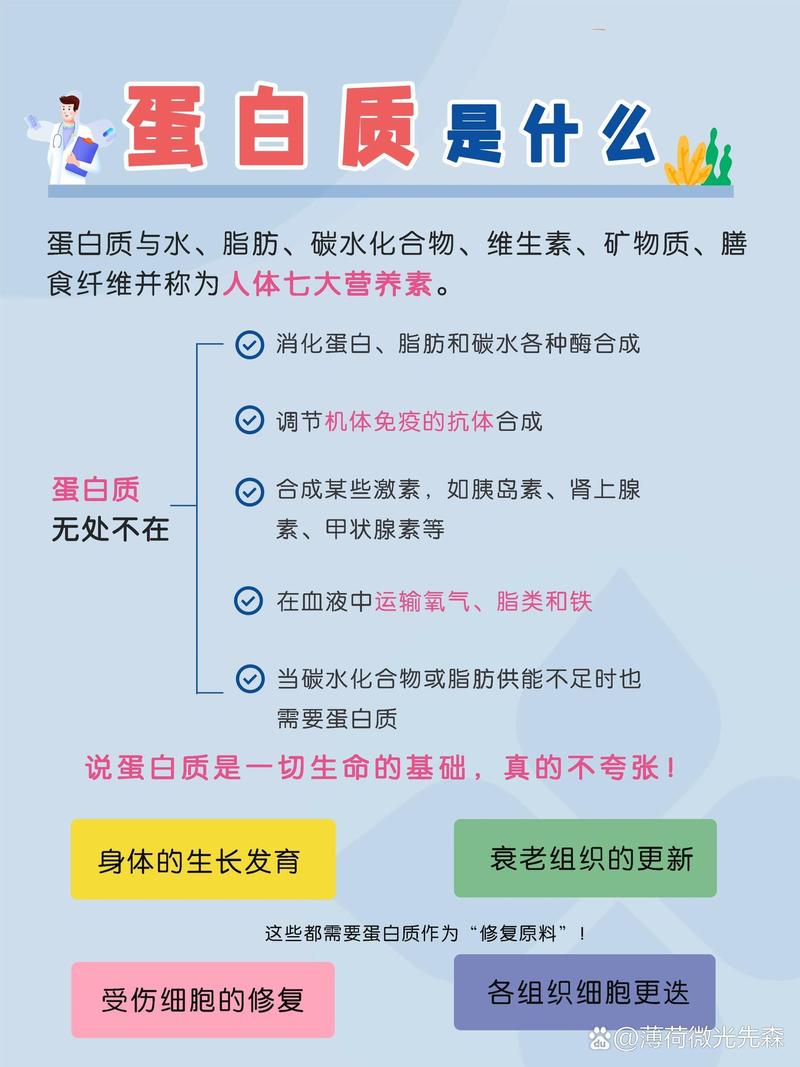 蛋白质与健康有何关联？-图2