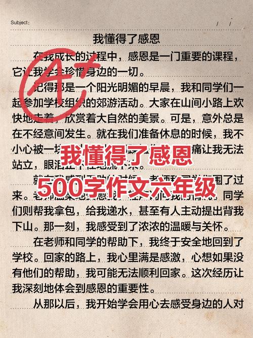 感恩教育观后感，何为真正的感恩教育？-图2