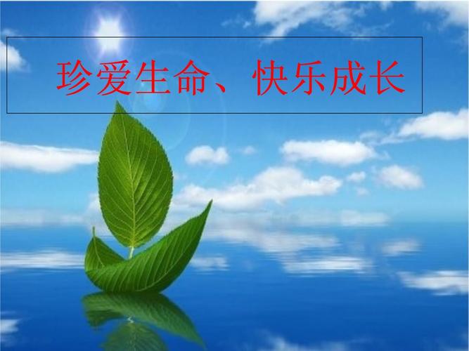 小学生命教育PPT课件该怎么设计?-图3 小学生命教育PPT课件该怎么设计?-图3