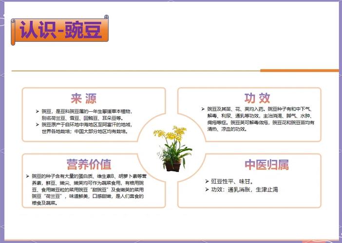 豌豆蛋白功能特性具体有哪些?-图1 豌豆蛋白功能特性具体有哪些?-图1