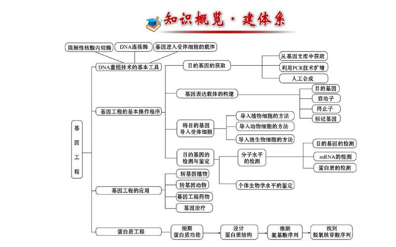 基因工程发展史有哪些关键参考文献？-图3