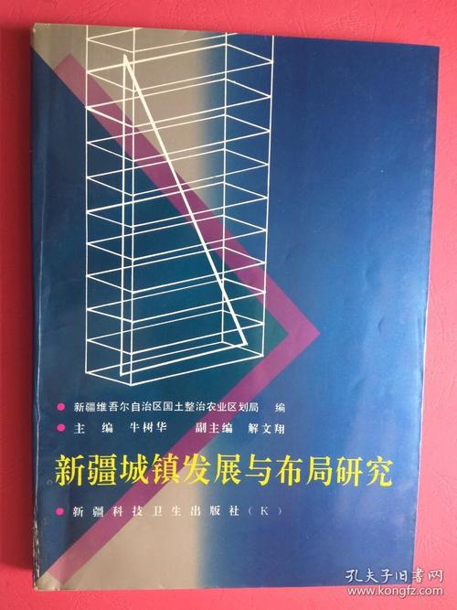 新疆发展面临哪些挑战与对策？-图1