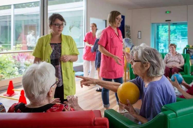 国外养老机构研究有何核心启示?-图1 国外养老机构研究有何核心启示?-图1