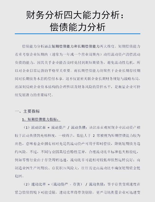 企业偿债能力研究的关键指标有哪些?-图1 企业偿债能力研究的关键指标有哪些?-图1