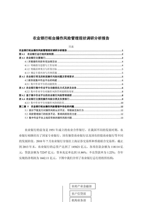 银行业内部控制参考文献有何研究价值？-图1