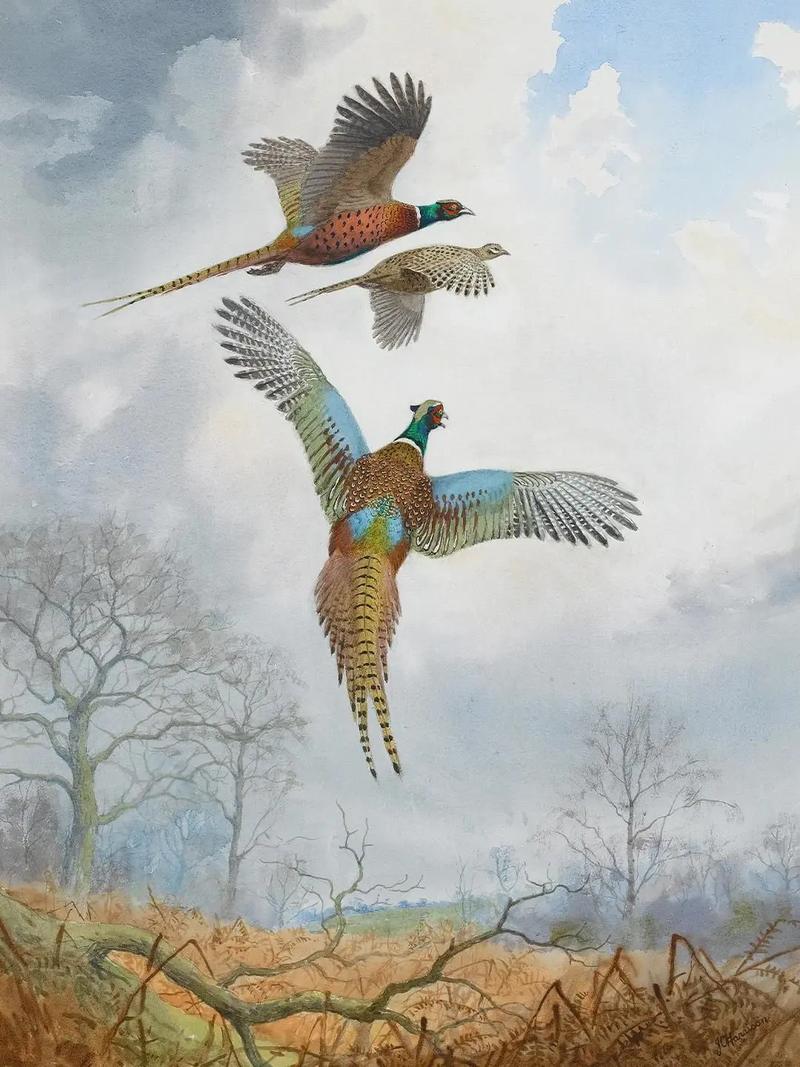 儿童美术教育该欣赏什么内容?-图3 儿童美术教育该欣赏什么内容?-图3