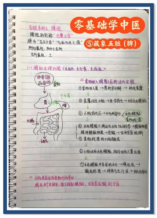 脾胃研究方向有哪些？-图2