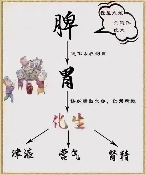 脾胃研究方向有哪些？-图3