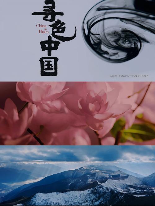 纪录片色彩应用参考文献有哪些？-图1