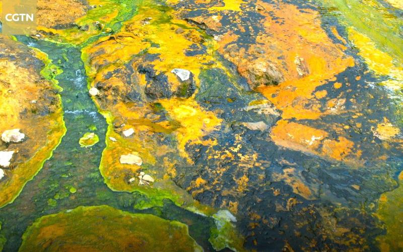 纪录片色彩应用参考文献有哪些？-图3