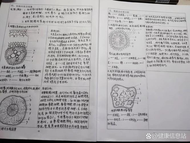 植物研究开题报告素材如何高效筛选？-图2