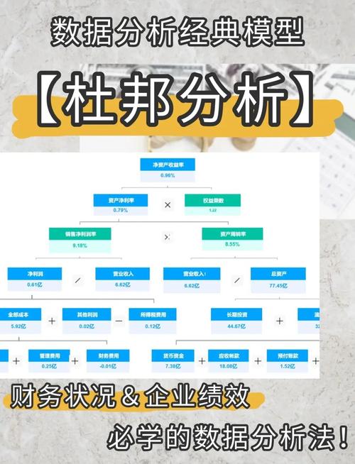 近3年杜邦分析参考文献有哪些?-图1 近3年杜邦分析参考文献有哪些?-图1